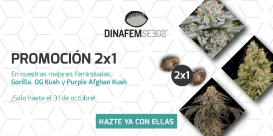 Promoción 2x1