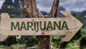 IMG El próximo gran avance en la marihuana: el turismo