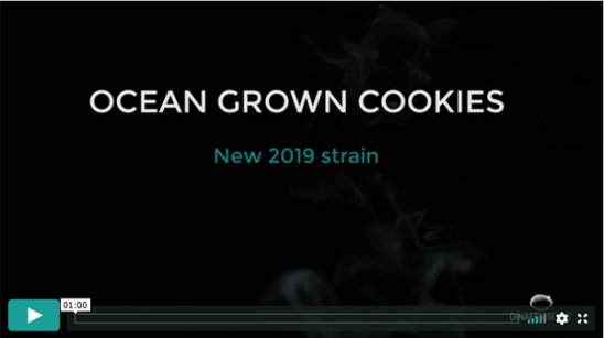 Vídeo Ocean Grown Cookies