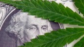 IMG Un proyecto de ley para permitir a los bancos operar con los negocios del cannabis se abre paso en el Congreso de EE.UU.
