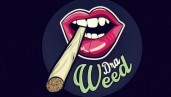 IMG Dott.ssa Weed: “Se puoi tenere un vaso con cannabis in casa, tienilo”
