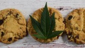 IMG Eating cannabis edibles on an empty stomach: Is it a good idea?