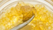 IMG Terp sauce, the terpene concentrate that is taking over the cannabis extraction industry