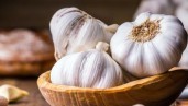 IMG Plant of the month: Garlic