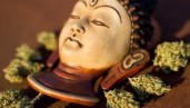 IMG The state of CBD in Asia and Oceania