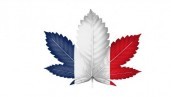 IMG Cannabis legalisation in France, a hot topic throughout 2019