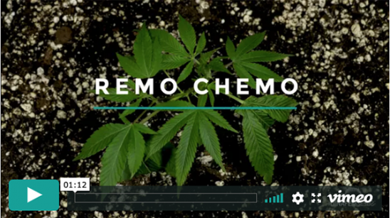 Remo Chemo video