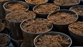 IMG How to make Super Soil?
