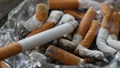 IMG French scientists are currently studying whether nicotine could prevent the Coronavirus
