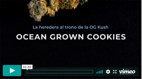 Vídeo Ocean Grown Cookies