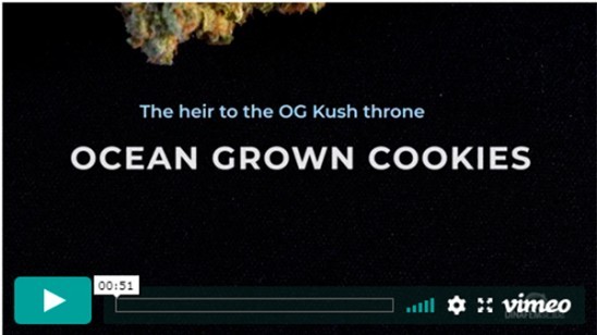 Ocean Grown Cookies video