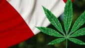 IMG Peru opens up the door to the impending commercialisation of CBD medical products