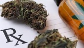 IMG Which are the most common side effects of cannabis?