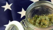 IMG El Congreso de EE.UU. vota para proteger la marihuana legal de la interferencia federal