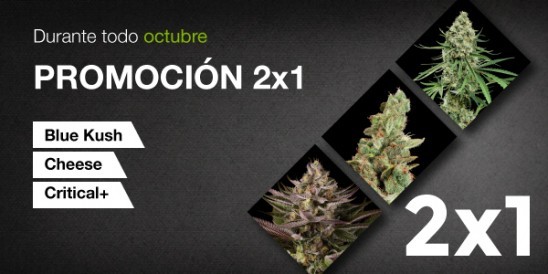 Promoción 2x1