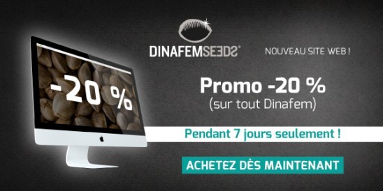 Promotion lancement site web